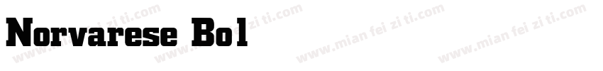 Norvarese Bold字体转换